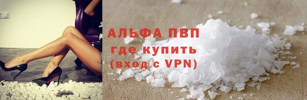 спиды Дубна