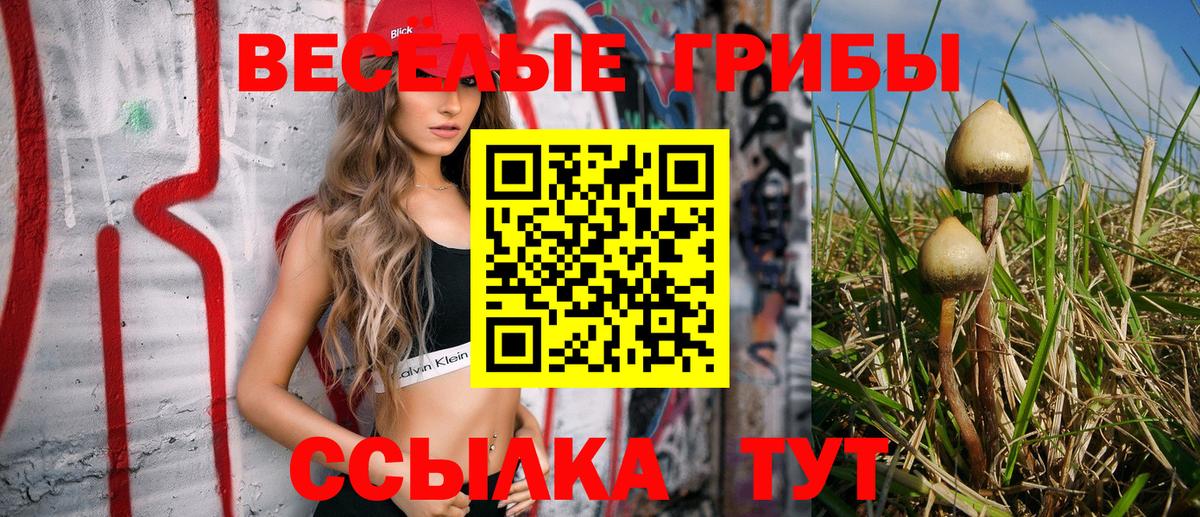Кольчугино  Псилоцибиновые грибы ЛСД  Вход с VPN 