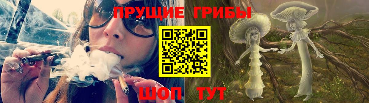 Псилоцибиновые грибы Psilocybine cubensis Кольчугино